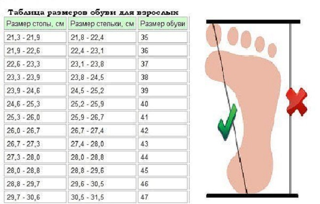 Соответствие длины стопы к размеру стельки и обуви для взрослых