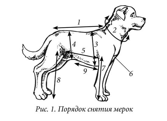 порядок снятия мерок