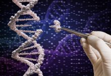 Photo of Уход за шерстью собаки