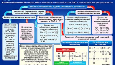 Photo of Основные понятия ваг лабораторних и их значение в химических исследованиях