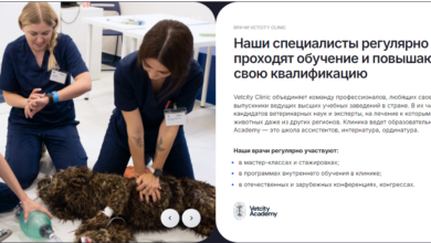 Photo of Преимущества современной ветклиники